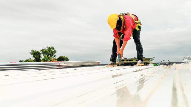 Best Flat Roofing  in Mapleton, ND